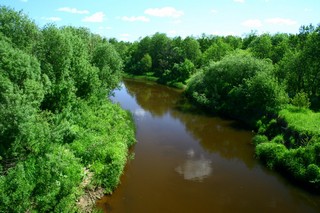 Река Медянка, вид с моста вверх по течению (Юрий Зыкин)