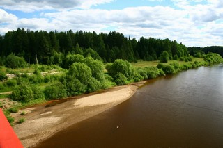 река Летка между Холуново и Шестаково (Юрий Зыкин)
