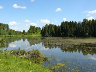 Даниловский пруд/Danilovcy's pond (Andreev Sergey U.)