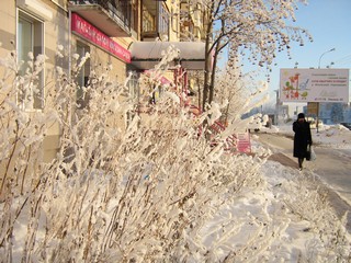 Зима, иней (Дмитрий Зонов)