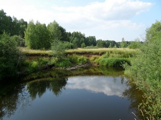 Черный омут (река Паозер) (Yaroslav Sivkov)