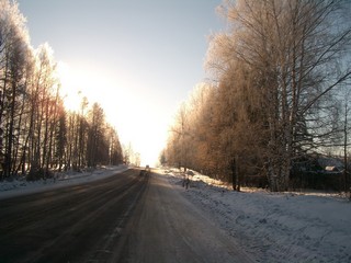The winter road (Alexey Shcherbinin)