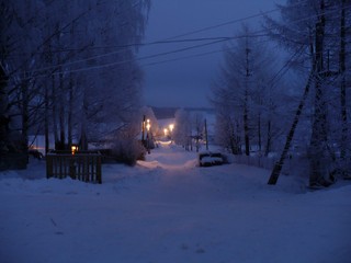 Улицы зимой в д. Палагай (Акбашев Ильяс)