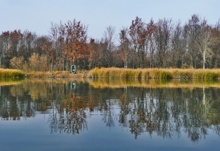 Озеро Сомовское. Осень. Отражения... (Nadezhda Shklyaeva)