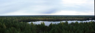 Вид на озеро Серебряное с вышки (Alexey Knyazev)