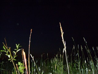 Калининский луг ночью (Gele69)
