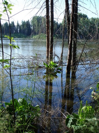 Рябовские пруды (Andreev Kostyan)
