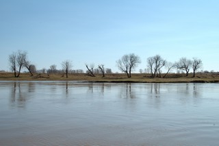 река Чепца/вид на восток (Mikhail Buldakov)