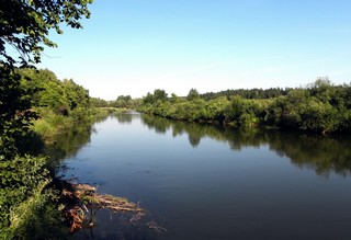 Река Сива у деревни Гавриловка (Александр Исаков)