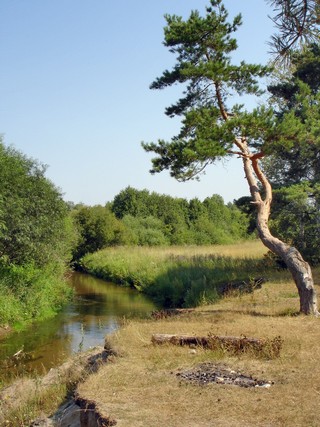 Река Никульчинка (Andreev Kostyan)