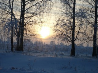 Солнце и мороз -39 (Aleksei119)