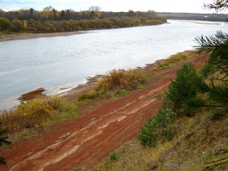 Полосатый берег, засуха 2010 г., вид с обрыва (Дмитрий Зонов)