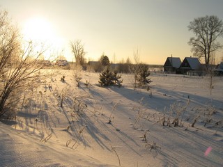 Деревня Марковщина, январь (Дмитрий Зонов)