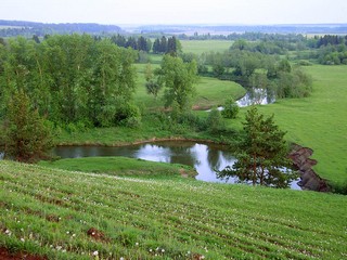 Вид на реку Лоза (stvov)
