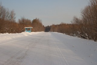 Зимняя дорога в Фатеево (Юрий Зыкин)