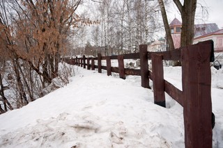 Изгородь городского парка (Инна Соколова)