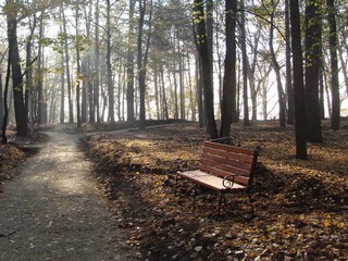 Скамейка в парке. Осень. (Инна Соколова)