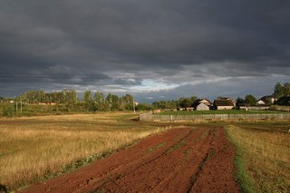 После дождя (Romashka5)