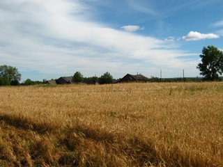 Деревня Зоновщина (Дмитрий Зонов)