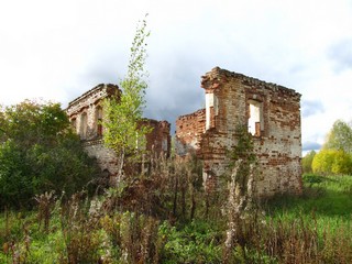 Руины школы - последнего строения д.Самодуровщина (Дмитрий Зонов)
