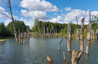 Верхосунский пруд (Andreev Kostyan)