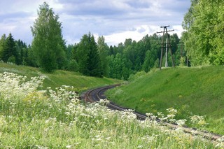 Легендарная железная дорога Балезино-Ижевск в районе деревни Кекоран. Фото Юрия Байбекова (AvtoVitrina Avtovitrina)