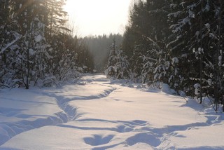 Зима (AnaBloss)