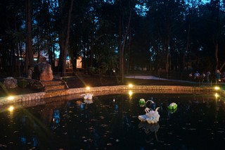 Новый пруд в Александровском парке вечером (Инна Соколова)