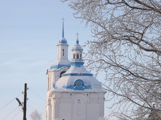 Купола Троицкого храма (Дмитрий Зонов)