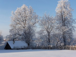Зима (skvorcovdv)