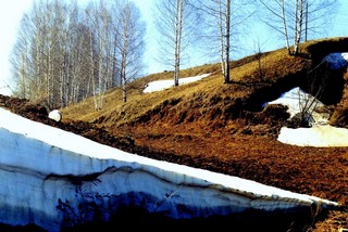 Последний снег (Vladimir Shevnin)