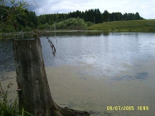 New pond in Kelchino. (Павел Тарасов)