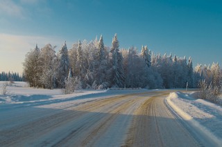 Зимняя дорога  (Dmitrii Voronchikhin)