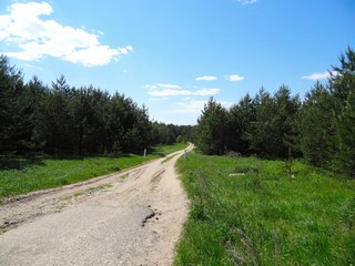 Дорога на Быковщинское озеро (bokax)