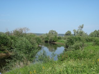 река Малая Сарапулка (Yan Gorev)