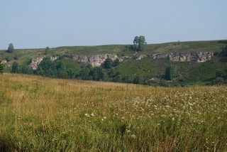 Grass (igor chetverikov)