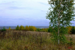 Вид на реку Вятка Орловский район Кировской области (gtn_58)