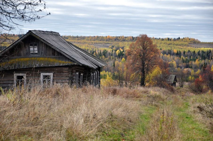 Фото Дениса Логиновского