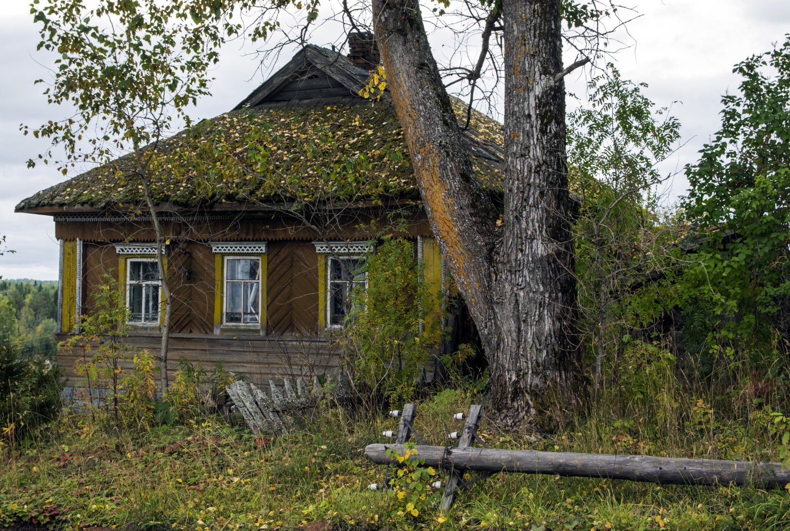 Продажа домов в кировской области недорого с фото