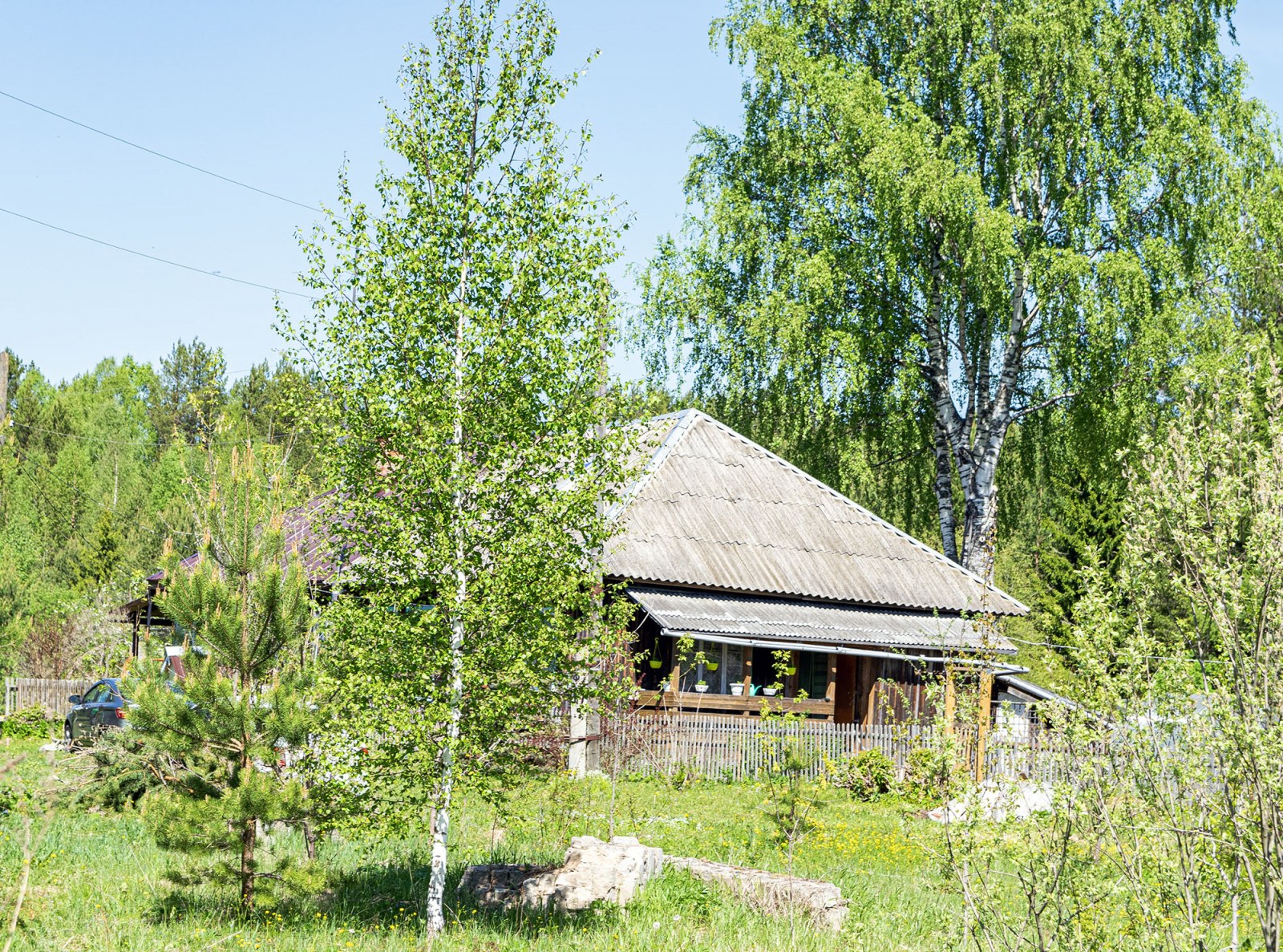 Фотогалерея | Родная Вятка