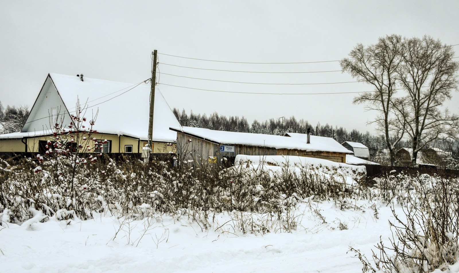 Фотогалерея | Родная Вятка