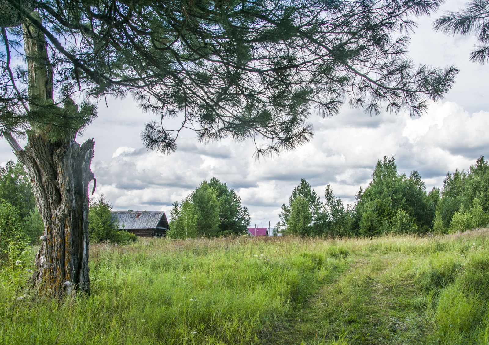 Киров деревня. Шмелиха с. Лесное Тверская область. Шмелиха Ирка с. Лесное Тверская область.