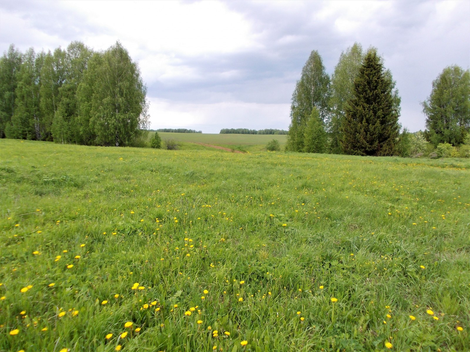 Вожгалы кировская область. Село малый Лог.. Вожгалы Кировская область дороги. Картинки п.малый Лог.