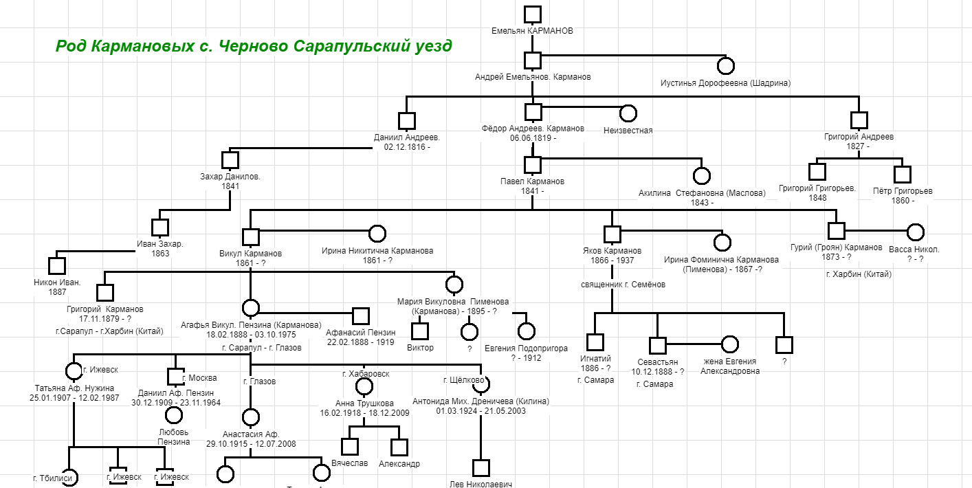 Род Кармановых из д. Черново, Сарапульский уезд, Вятской губернии согласно  Всеобщей переписи населения (1896-1897 гг) | Родная Вятка