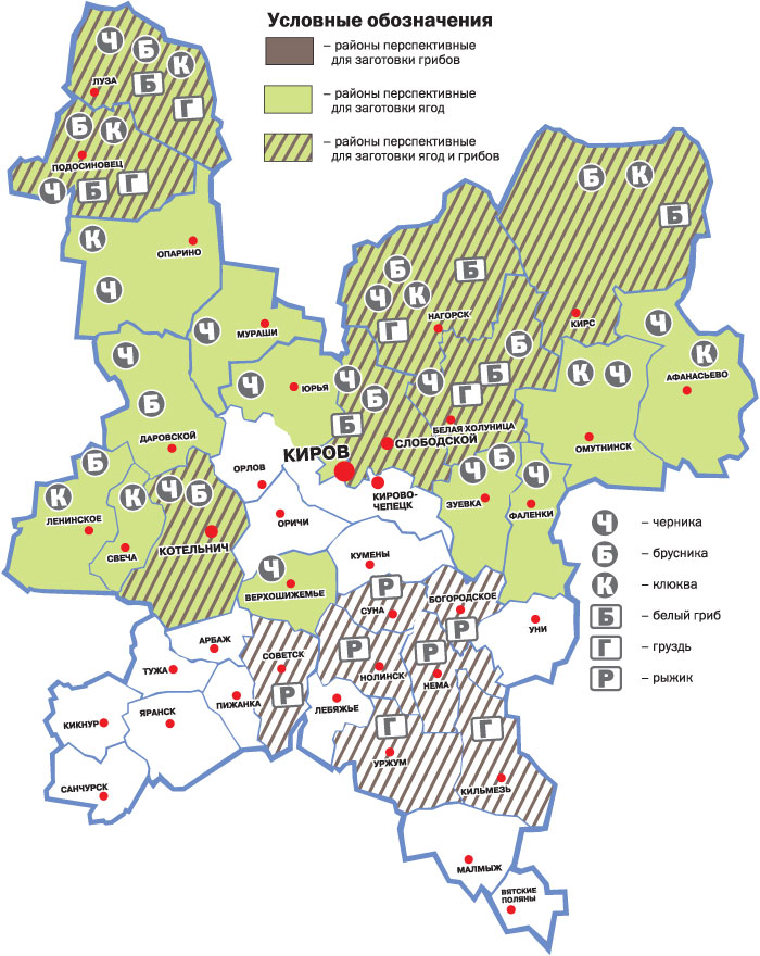 Карта леса кировской области