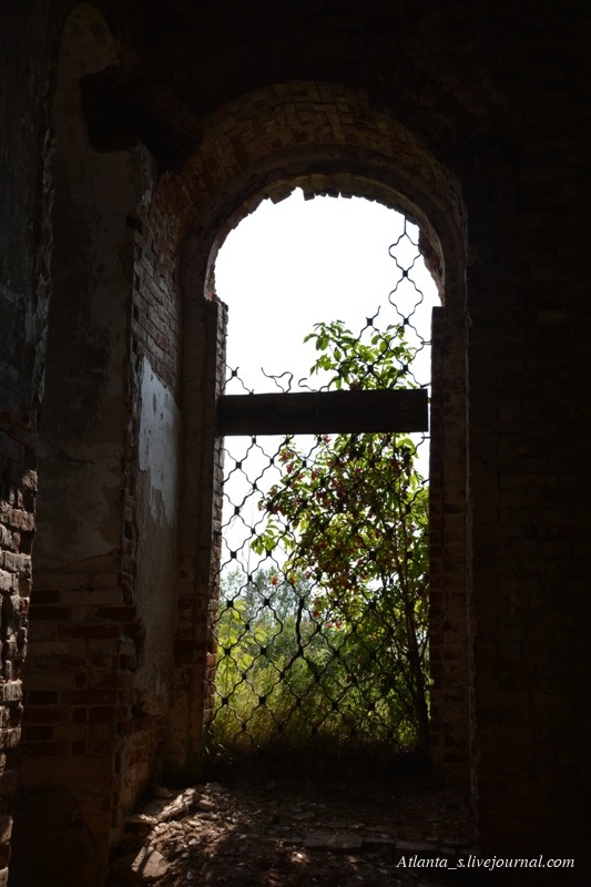 27.07.16. (31).JPG 27.07.16. (31).JPG