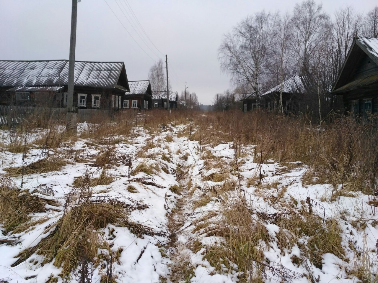 Палкино Костромская область Антроповский район