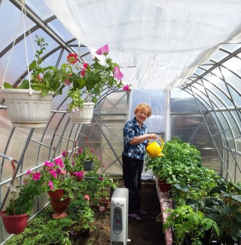 Надежда Дрожжачих