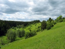 Холм, где была деревня Мокрушино former_settlement