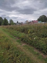 Поселок Рыбопитомник.Август 2024. Фото Е.Жолобовой. photo